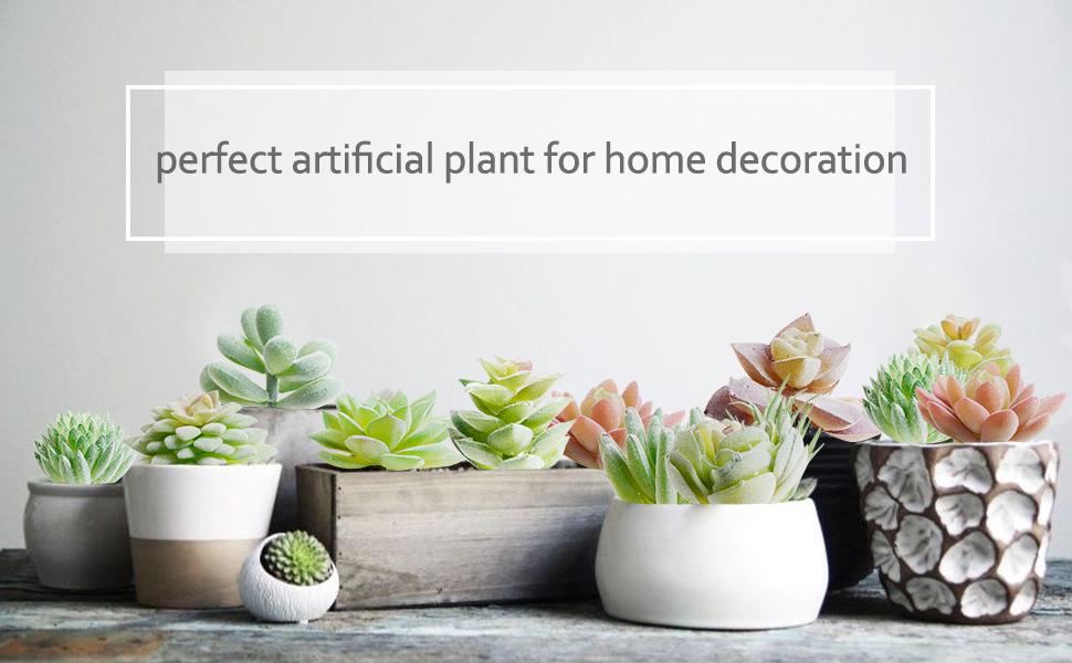 artificial Succulents