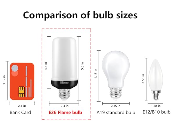 Comparison of bulb sizes