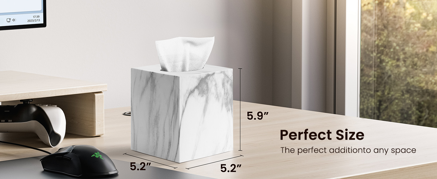 tissue holder