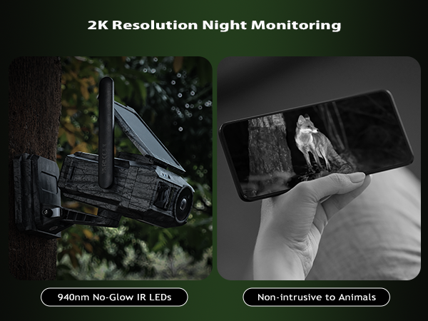 2K Resolution Night Monitoring