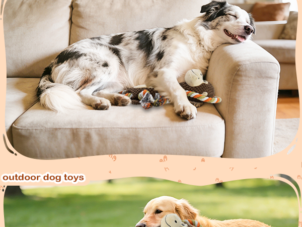 Dog toys