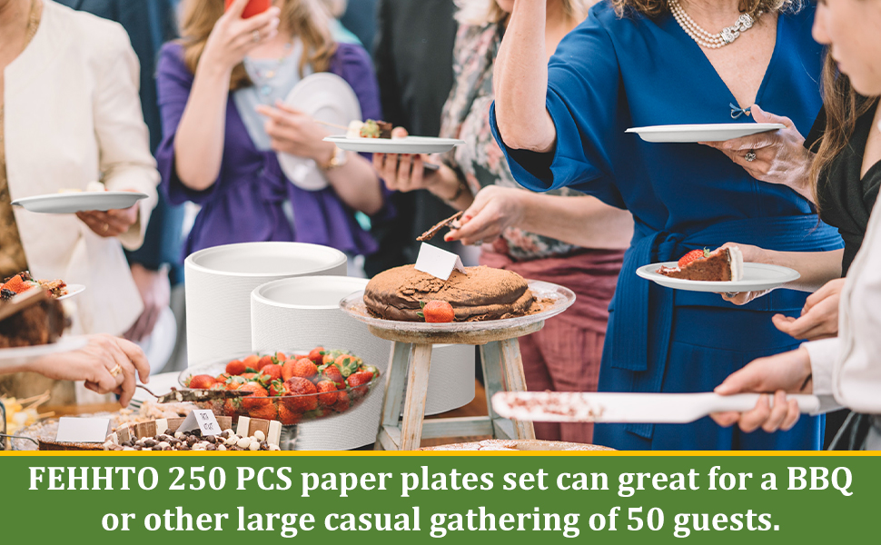 fechhto 250 pcs paper plates set can great for a BBQ or other large casual gathering of 50 guests