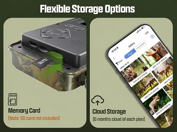 trail camera