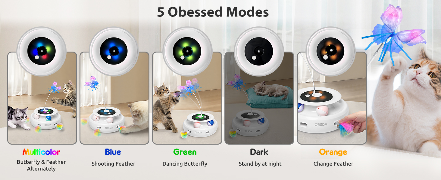 Cat Toys