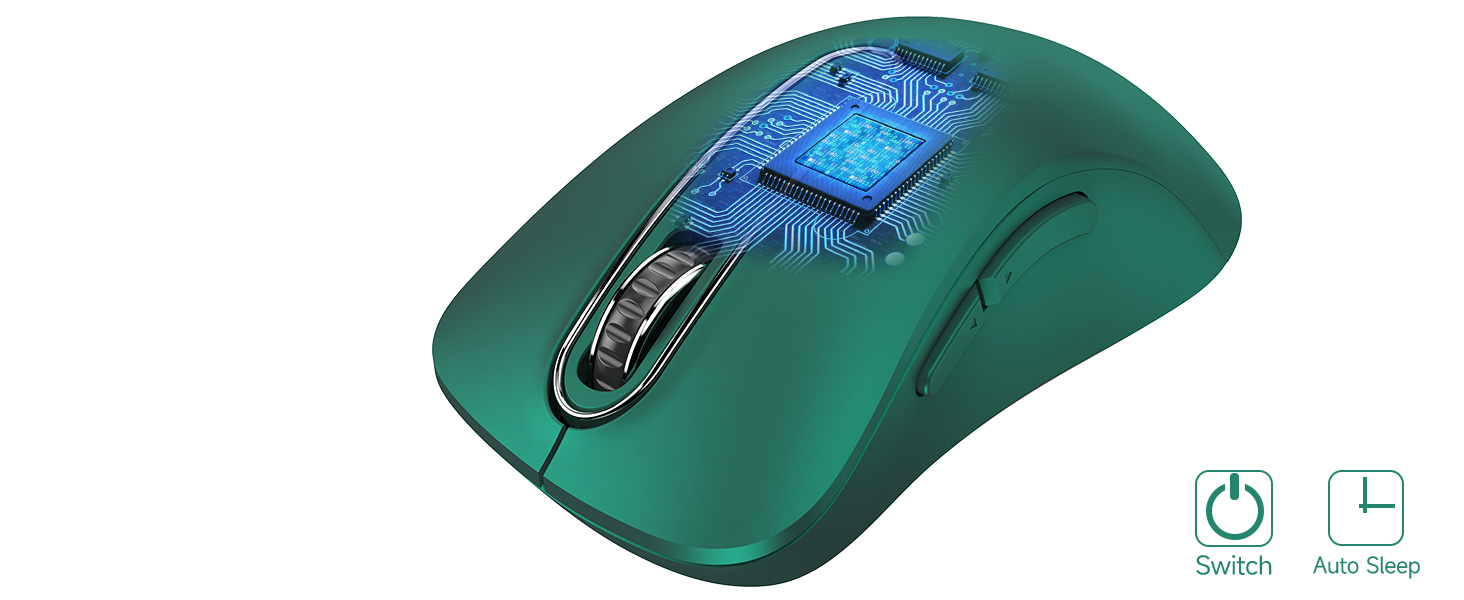mouse