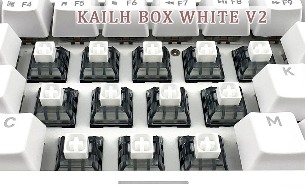 Kailh box white v2 keyboard switches