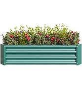 Donext Metal Raised Garden Bed, Rectangle Raised Planter 4×2×1ft for Flowers Plants, Vegetables H...