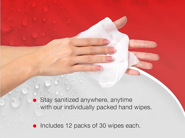 Diamond Wipes WipeEssentials Sanitizing Wipes