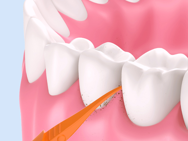 Disposable Toothbrushes with Toothpaste