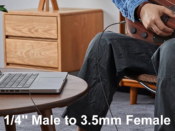 3.5 & 6.35 Headphone Adapter
