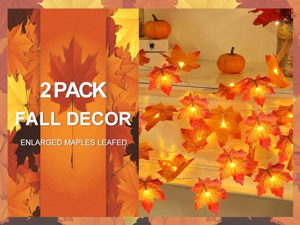 fall