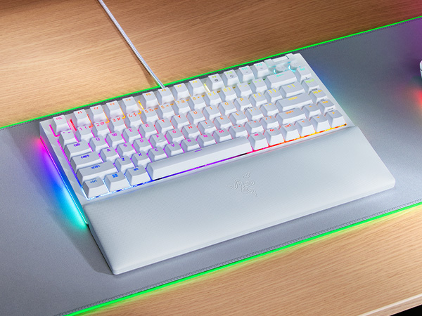 Razer BlackWidow V4 75%
