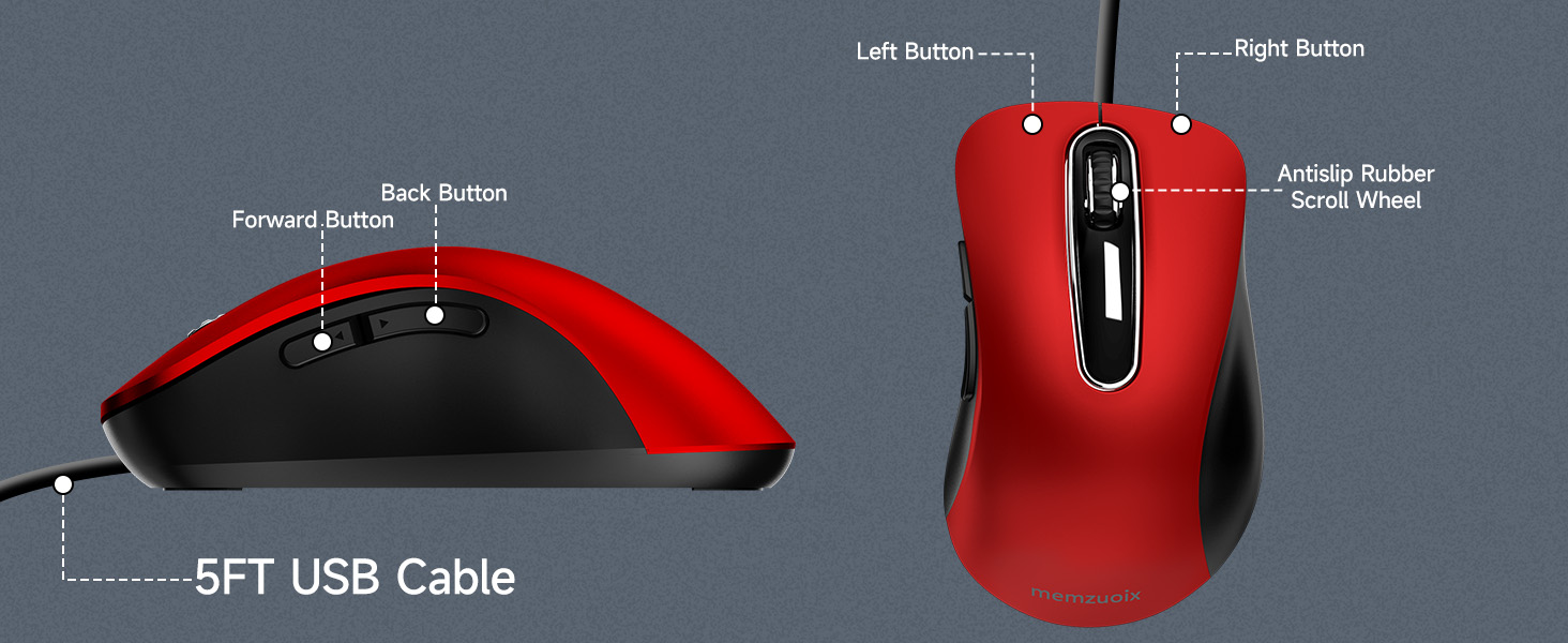 mouse