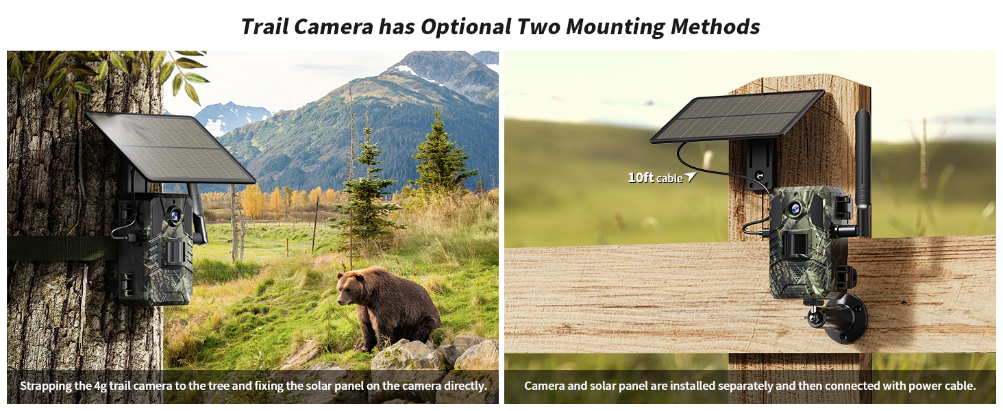 Cellular Trail Cameras