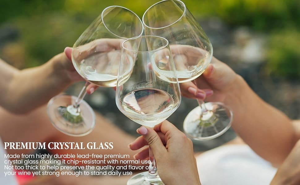 22oz Crystal Wine Glasses - Set of 2 Elegant Tall Red & White Wine Clear Stemmed Glass Drinkware w/