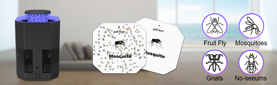 fly killer