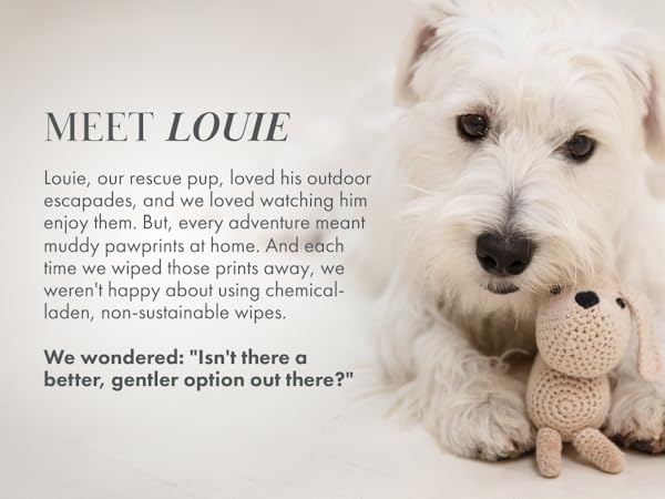 Meet Louie our rescue pup