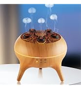 BLOIMP Essential Oil Diffuser 250ML,Jellyfish Diffuser Air Humidifiers Dynamic Sound Pickup Ultra...