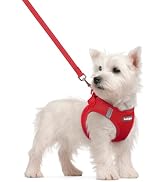 rabbitgoo Dog Harness Small Sized and Leash Set, Step-in Puppy Pet Vest | Light, Soft, Breathable...
