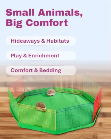 Small Animals, Big Comfort