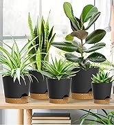 self watering planter