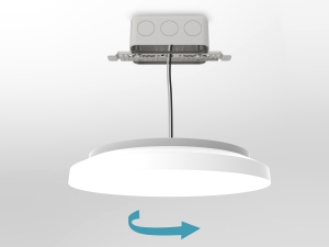 motion sensor ceiling light