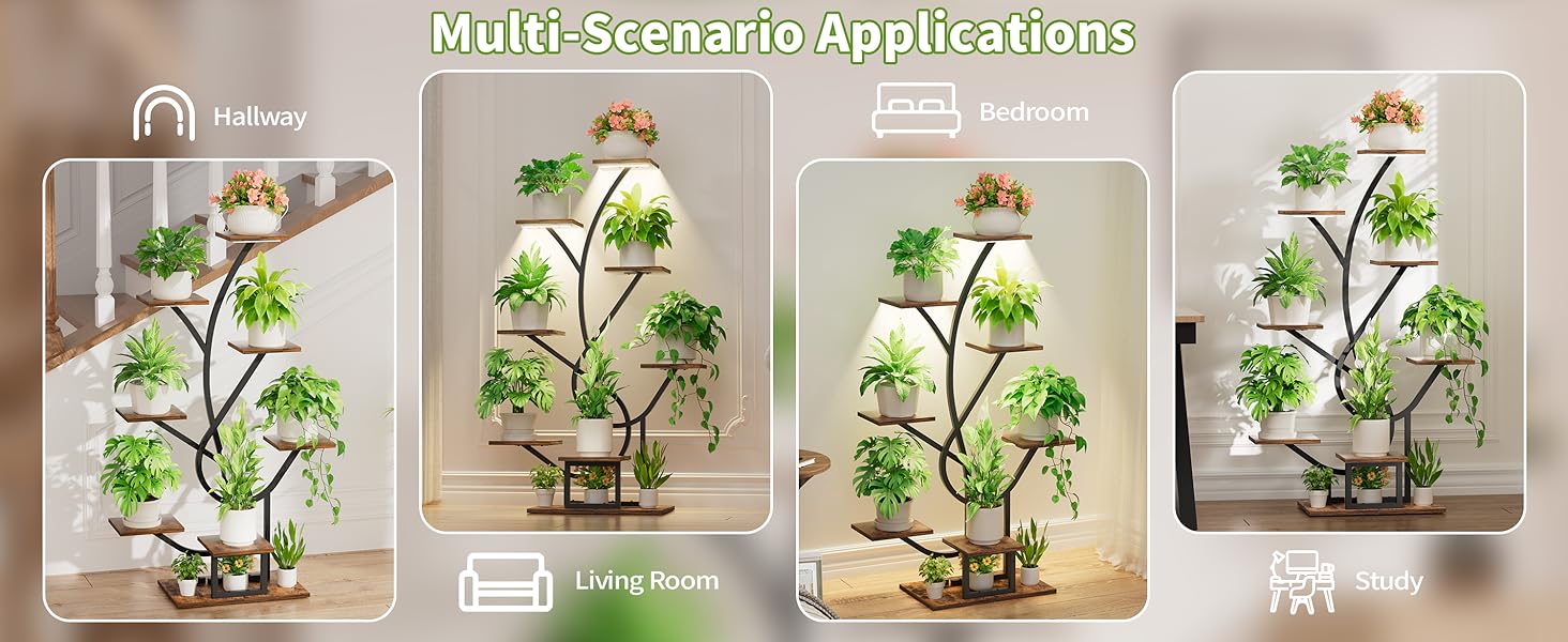 plant stand indoor