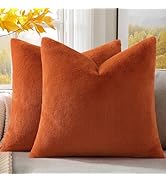 Pallene Faux Fur Plush Fall Throw Pillow Covers 18x18 Set of 2, Soft Fluffy Couch Pillow Covers f...