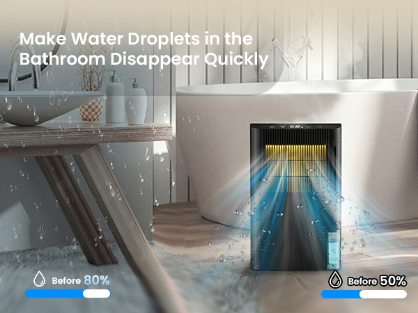 dehumidifier for bathroom