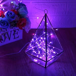 string lights purple