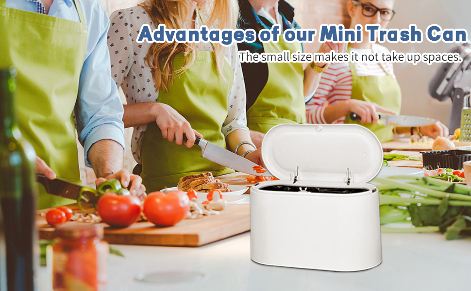 Mini Trash Can with Lid - Removable Small Garbage Can
