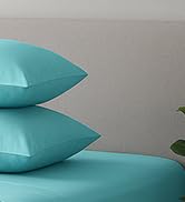 Feather & Stitch