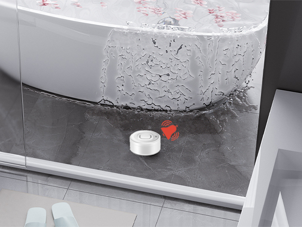 Water Leak Detectors for Home