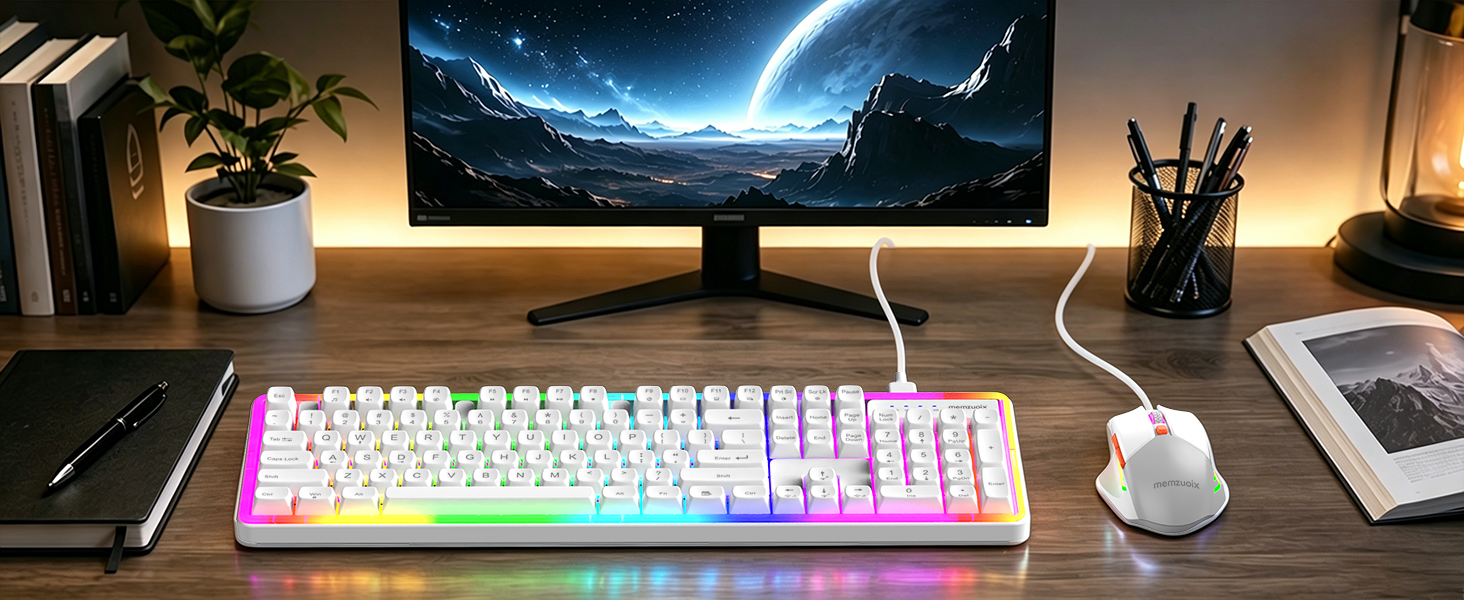 wired mouse and keyboard