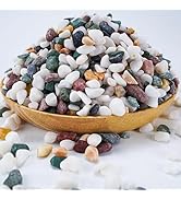 6LB Succulent and Cactus Gravel Pebbles, 1/5 Inch Natural Decorative Polished Stones, River Rocks...
