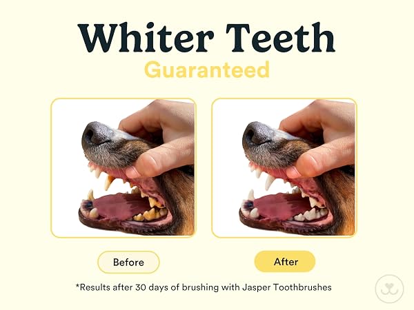 whiter teeth guaranteed