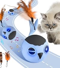 https://m.media-amazon.com/images/S/aplus-media-library-service-media/b98d1297-9e61-43bd-82e7-ebcfb749b9cf.__CR83,0,1333,1500_PT0_SX200_V1___.jpg