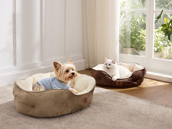 cat bed
