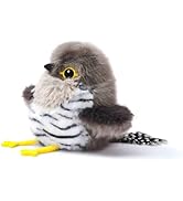 Petgravity Flapping Bird Cat Toy (No Flying), Lifelike Cuckoo Chirp Tweet Kitten Toy, Rechargeabl...
