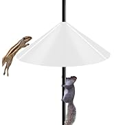 Ansionsol 19 Inch Wide Squirrel Baffle for Bird Feeder Pole, Outside Pole Mount Stopper & Bird Ho...