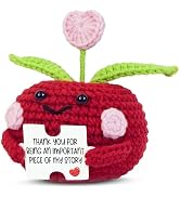OASSIE Valentines Day Gifts for Teachers - Mini Positive Apple Crochet with Card - Appreciation T...