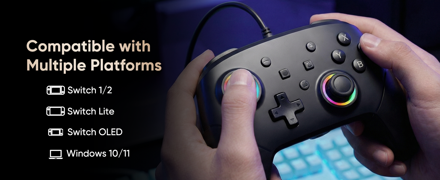 compatible with switch