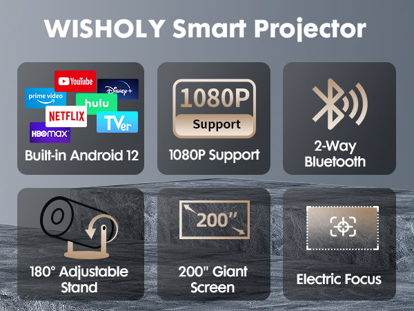 mini projector