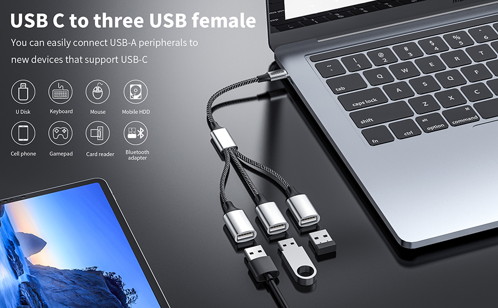 USB C splitter