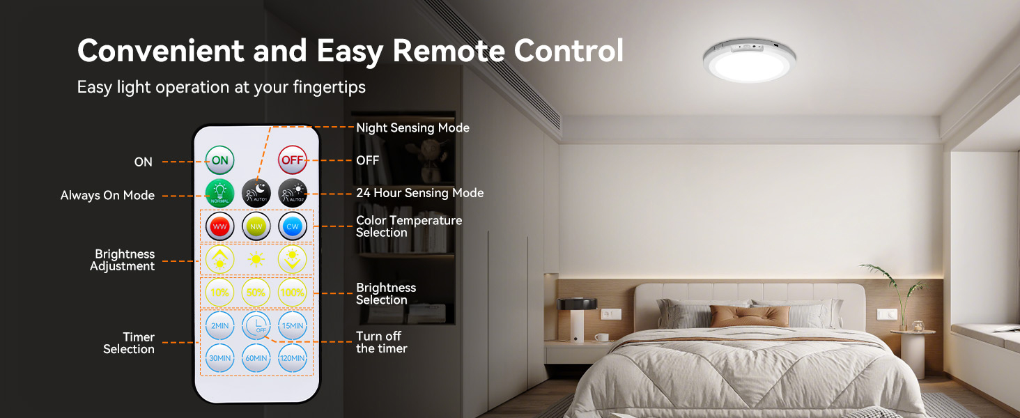 Motion Sensor Ceiling Light