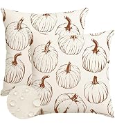 RABUSOFA Fall Pillow Covers 18x18 inch Set of 2 Outdoor Waterproof Fall Decorations Orange Lines ...