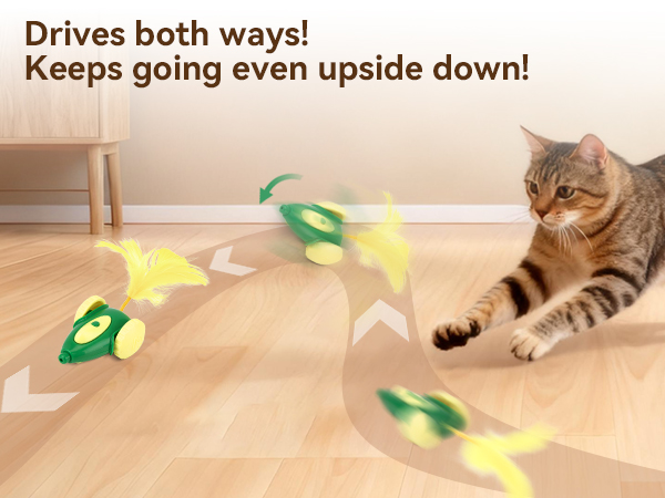 Migipaws cat toy
