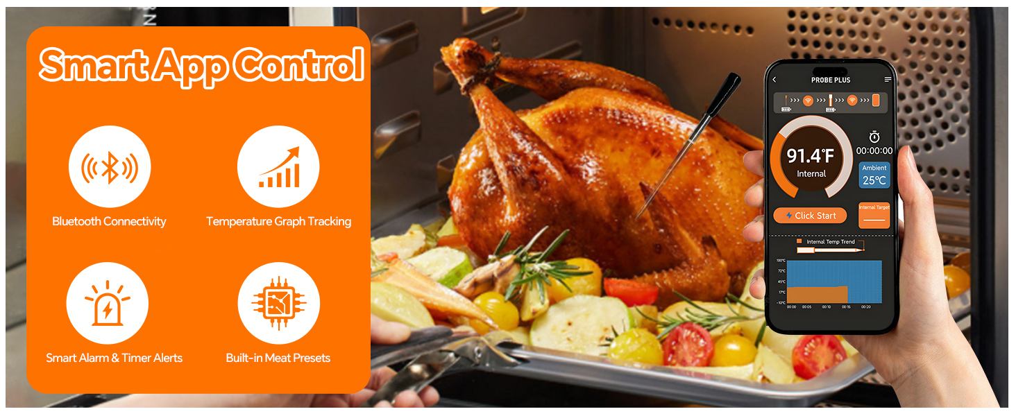 digital meat thermometer