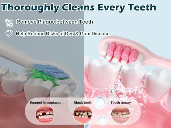 Text reads: 'Thoroughly Cleans Every Teeth', 'Remove Plaque between Teeth', 'Help Reduce Risks of Dec & Gum Disease'. Dental hygiene infographic showing teeth conditions and cleaning process.