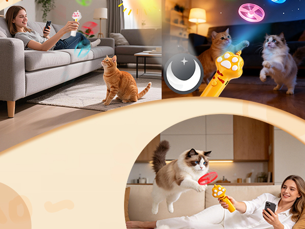 BABORUI CAT TOY love pets all day and all night